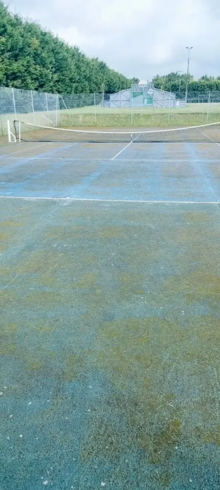 4894151370144236402